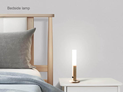 Intelligent Induction Light - CRIMARA